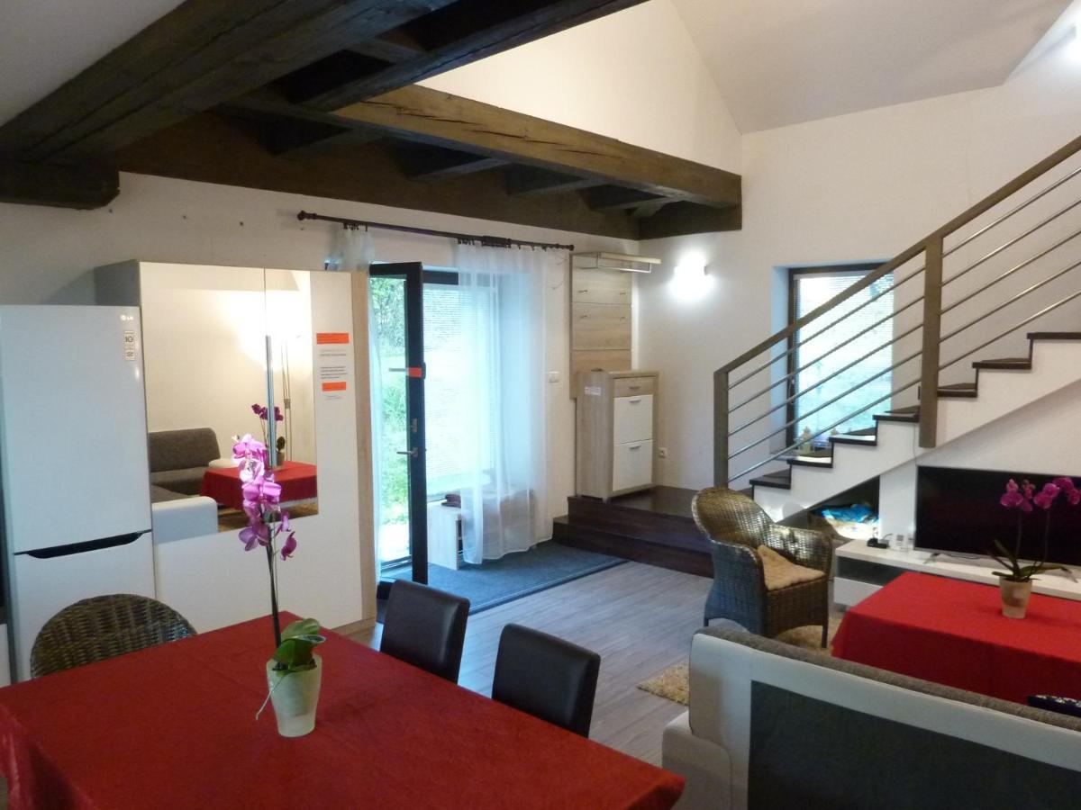 Velky Apartman V Rodinnom Dvojdome, Free Parking كَشّا المظهر الخارجي الصورة