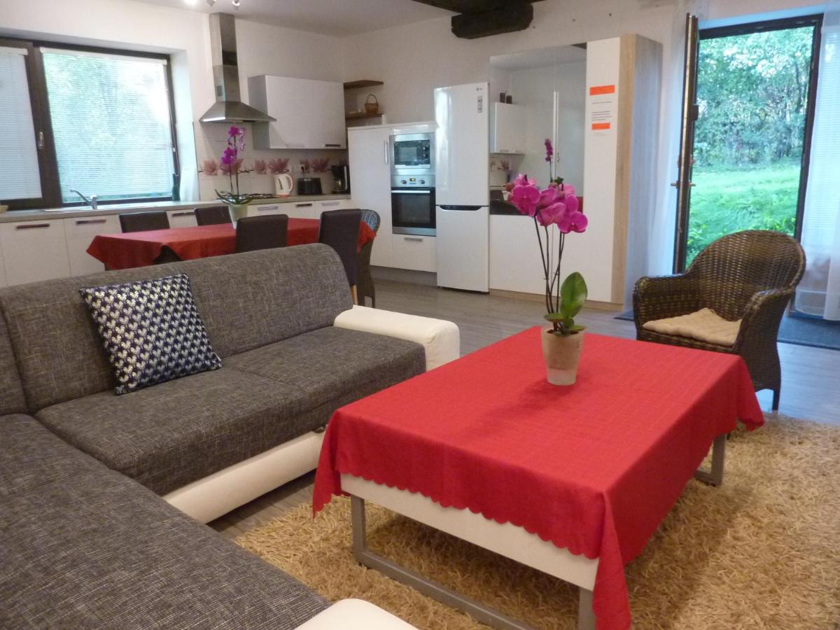 Velky Apartman V Rodinnom Dvojdome, Free Parking كَشّا المظهر الخارجي الصورة