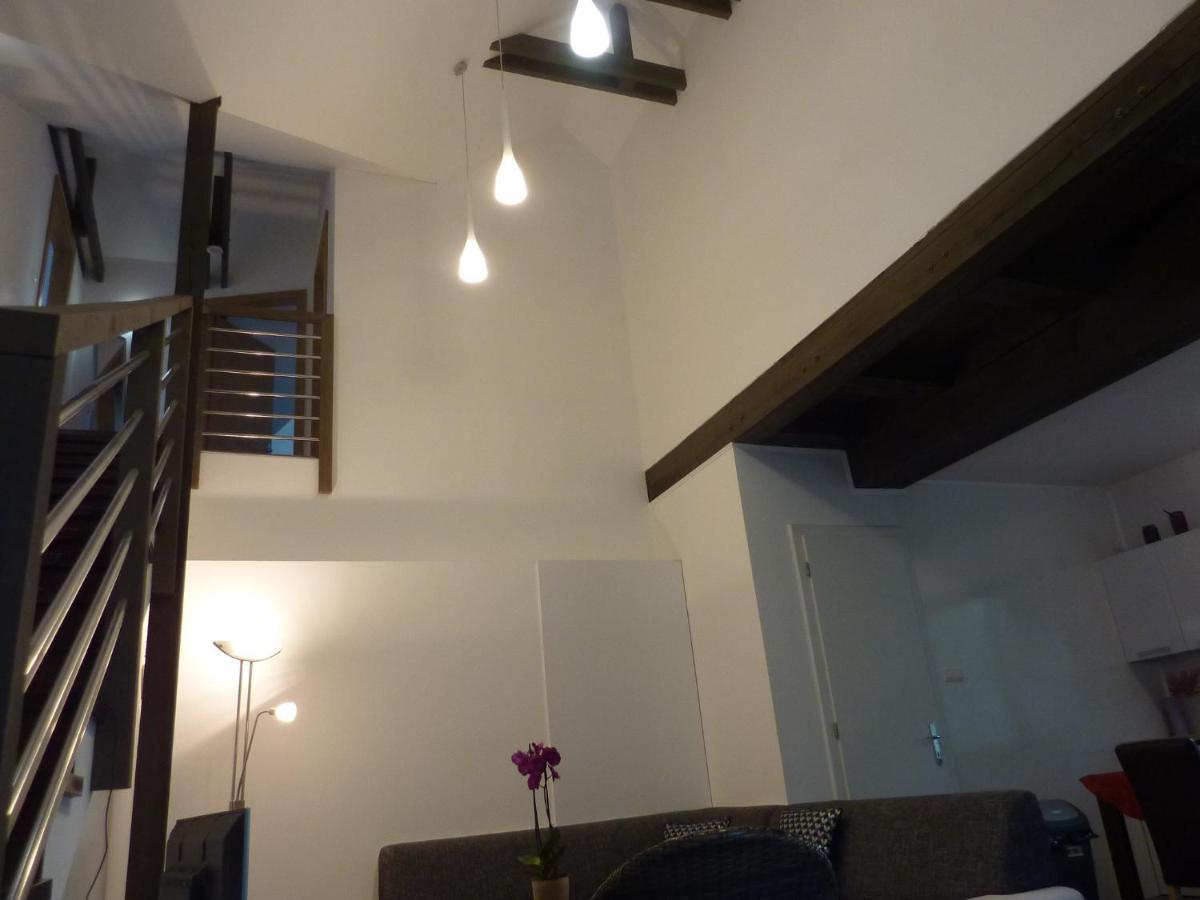 Velky Apartman V Rodinnom Dvojdome, Free Parking كَشّا المظهر الخارجي الصورة